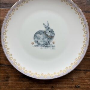 Set of 2 vintage Spode Bunny 🐰 Decorative Plates